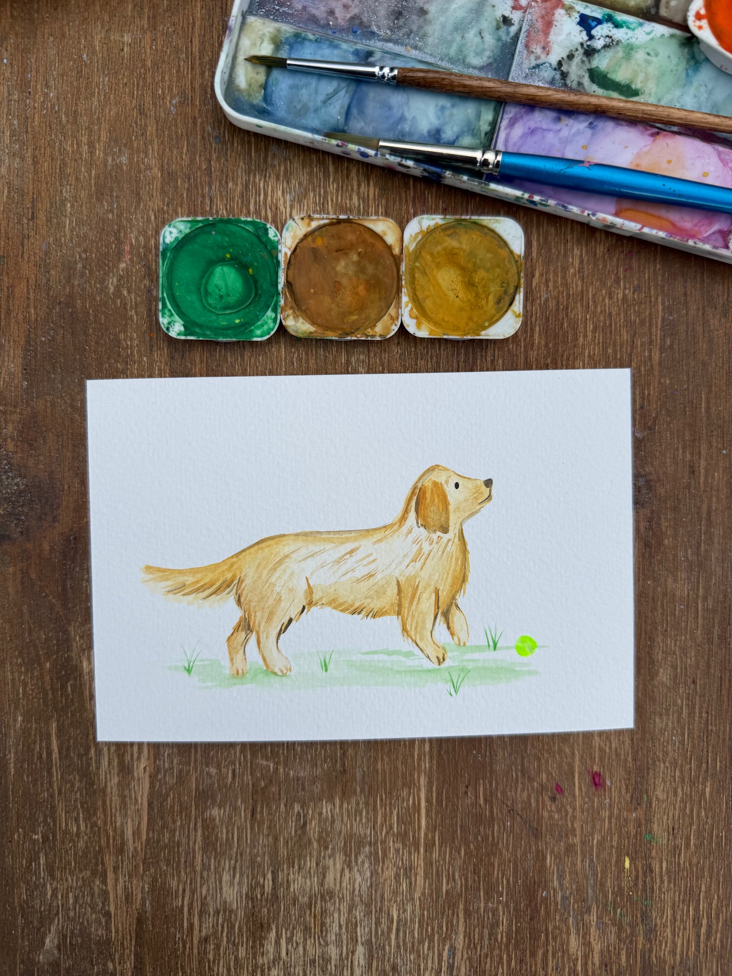 Golden Retriever Dog (Original)