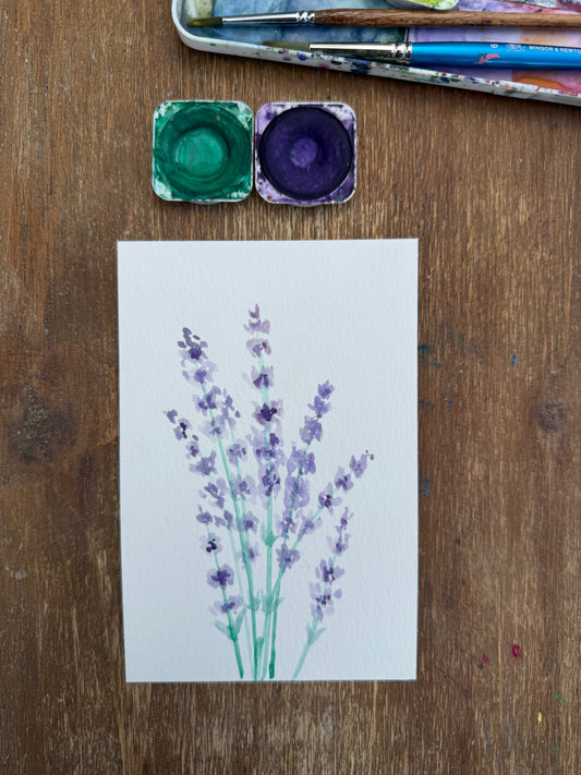 Lavender (Original)