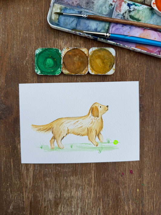 Golden Retriever Dog (Original)